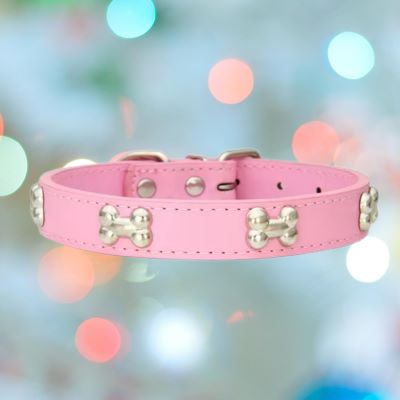 collier-pour-chien-rose-clair-os-flashPet