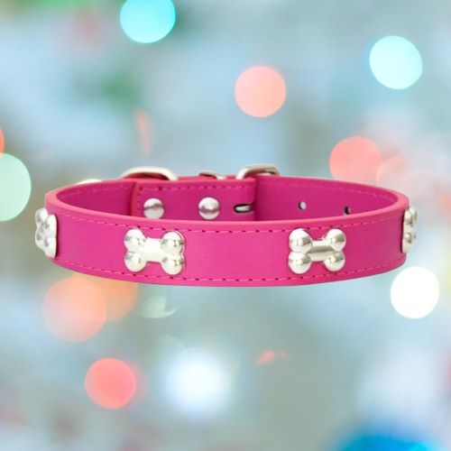 collier-pour-chien-rose-os-flashPet