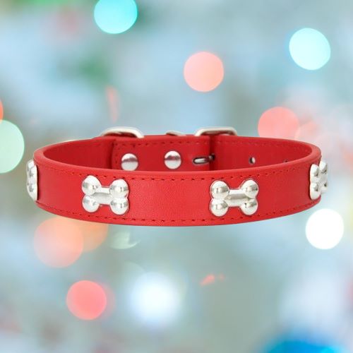 collier-pour-chien-rouge-os-flashPet