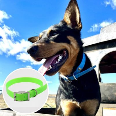 collier-pour-chien-waterproof-vert