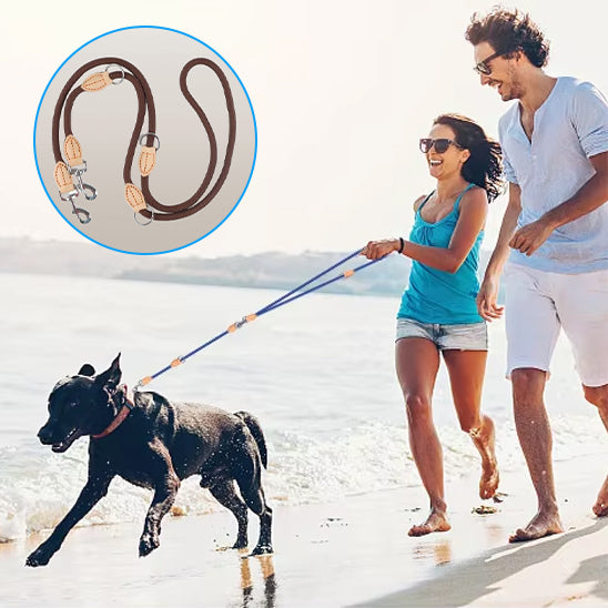 double-laisse-chien-marron