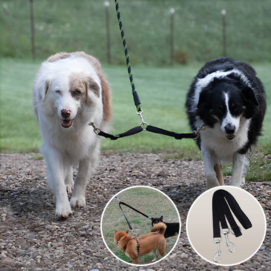 double-laisse-chien-noire-ajustable