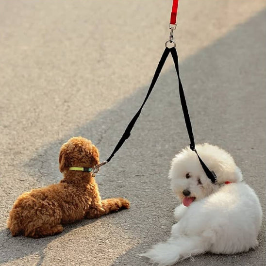 double-laisse-chien-noire-solide-ajustable