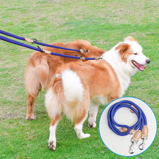 double-laisse-chien-polyvalente