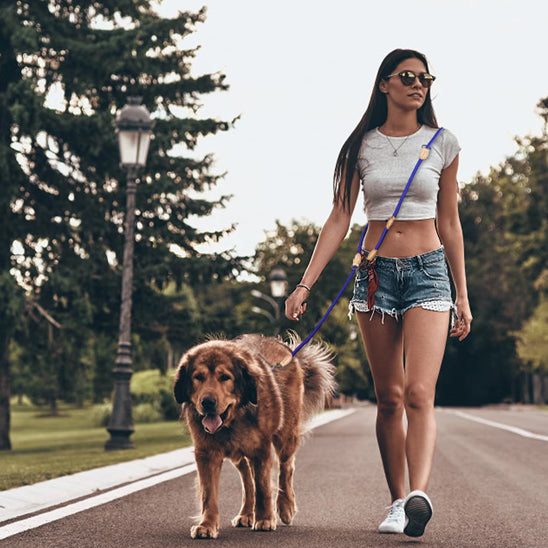 Double laisse Chien | PolyvalPetsâą