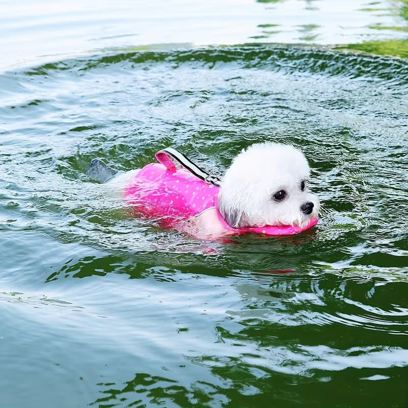 gilet de sauvetage petit chien aquapet rose bichon nage