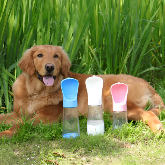 gourde-chien-anti-gaspi-recuperation-eau-fraichwalk