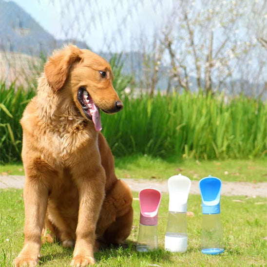 gourde-chien-systeme-filtration-eau-pure-fraichwalk