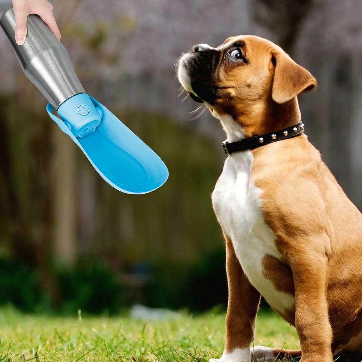 gourde-pour-chien-bleu-design-ergonomique-matiere-inox-luxfreshdog