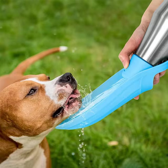 gourde-pour-chien-bleu-eau-propre-antibacterien-matiere-inox-luxfreshdog