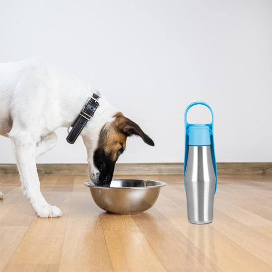 gourde-pour-chien-bleu-longue-duree-hydratation-matiere-inox-luxfreshdog