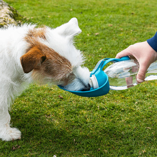 gourde-pour-chien-bleue-bol-ergonomique-hydratation-maximale-hydradog