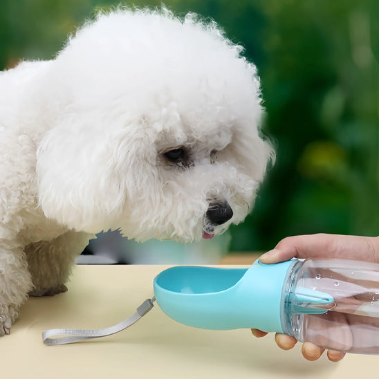 ourde-pour-chien-bleue-claire-capacite-300ml-sorties-optimales-cleanwater