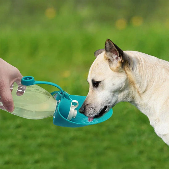 gourde-pour-chien-bleue-materiaux-durables-sans-bpa-hygienique-hydradog