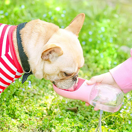 gourde-pour-chien-rose-claire-reserve-alimentaire-100g-cleanwater