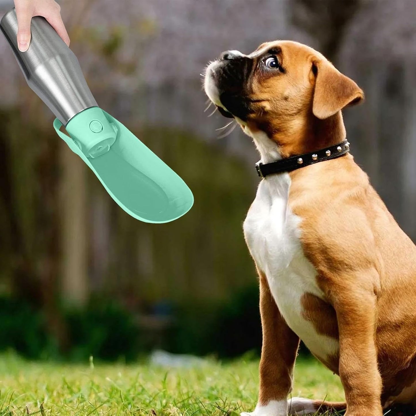 gourde-pour-chien-vert-grande-capacite-matiere-inox-luxfreshdog