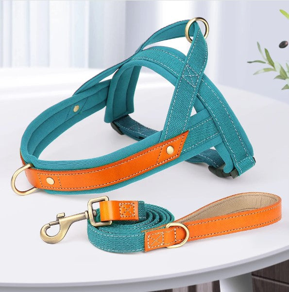 harnais-anti-traction-bleu-design-doublure-cuir-easymoov