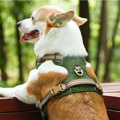 harnais-anti-traction-chien-design-vert-styldog