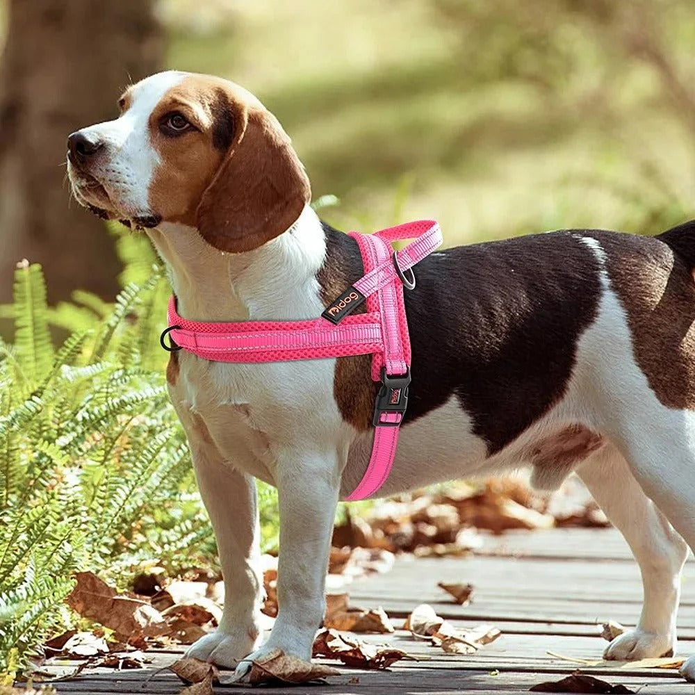 harnais-anti-traction-rose-chien-flashpuppy