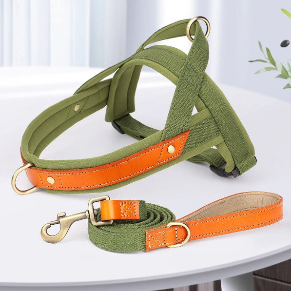 harnais-anti-traction-vert-design-doublure-cuir-easymoov