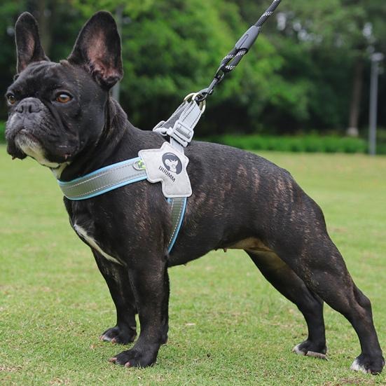 harnais-chien-bleu-staff-noir