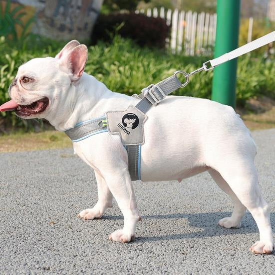 harnais-chien-bleue-staff-airleash