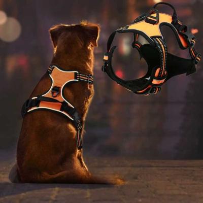 harnais-chien-orange-nuit-Securleash