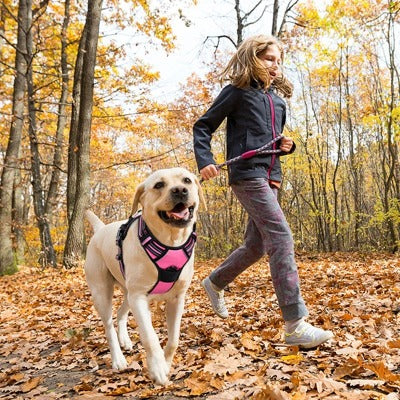 harnais-chien-rose-Securleash