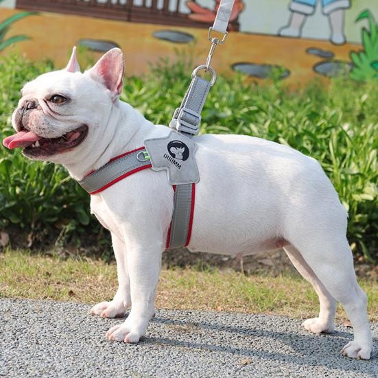 harnais-chien-rouge-airyleash-staff