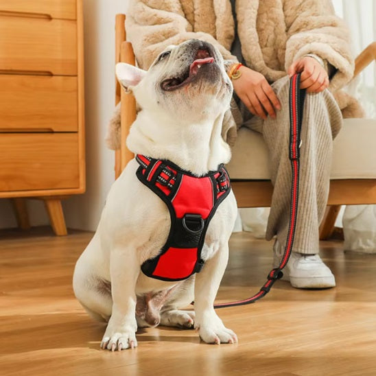 harnais-chien-rouge-noir-Securleash