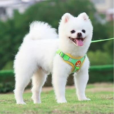 harnais-chien-vert-pomme-motif-renard-peetmoov