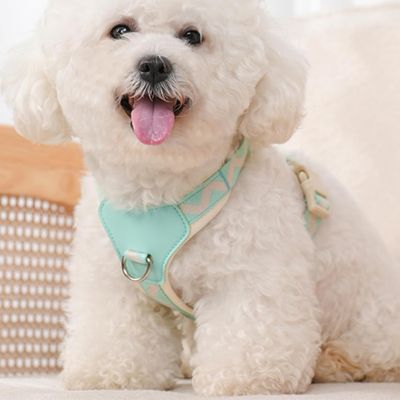 harnais-petit-chien-bleu-clair-confortable-caniche-funaventur