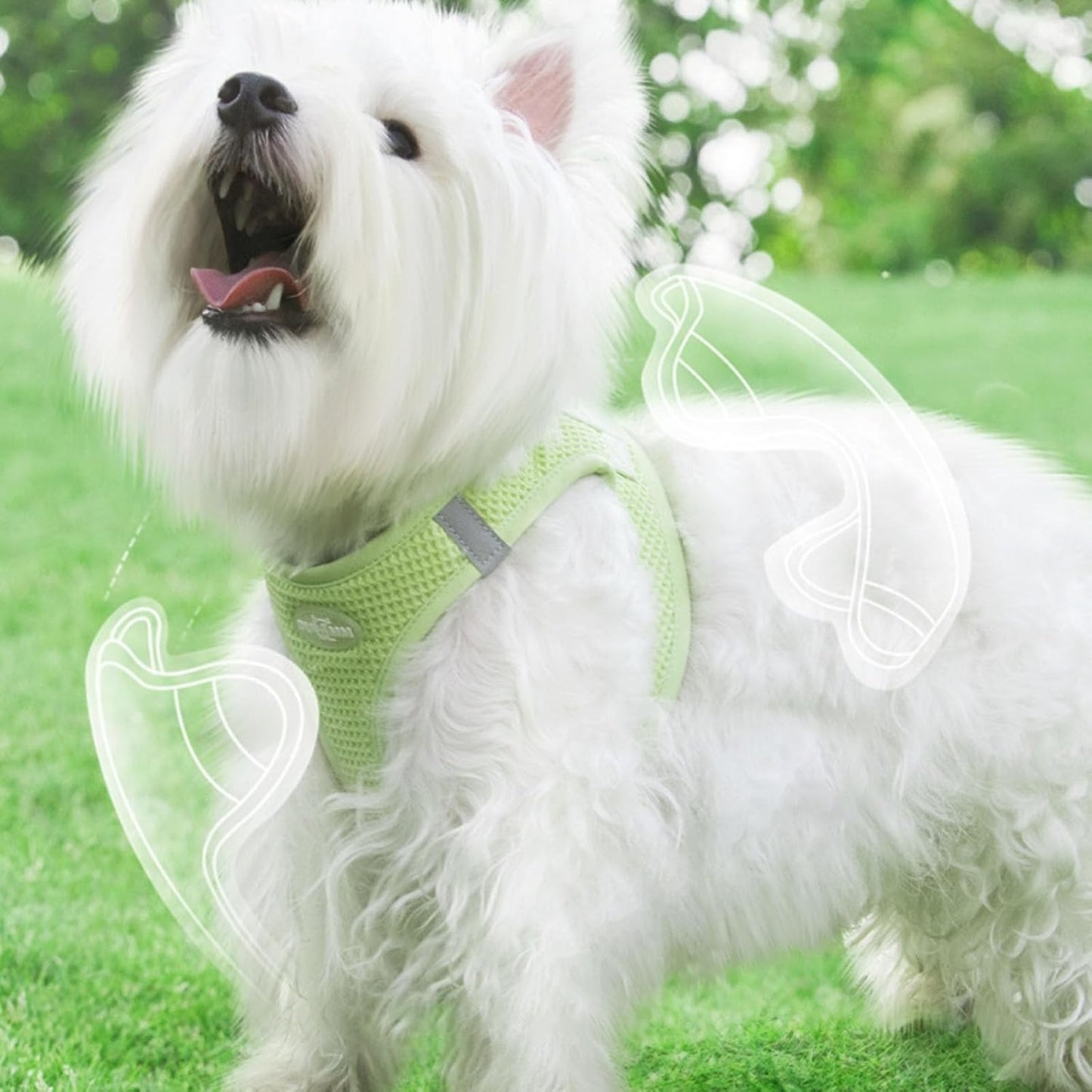 harnais-petit-chien-confortable-puppy