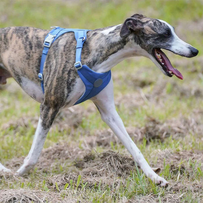 Harnais pour Chien | Waopet™