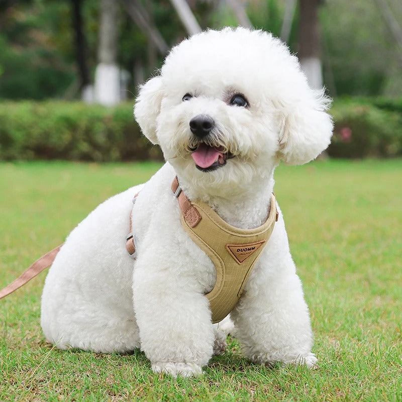 harnais-pour-chien-marron-caniche