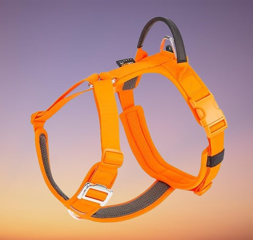 harnais-pour-chien-orange-dogconfort-anti-traction