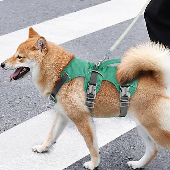harnais-pour-chien-vert-triple-sangles