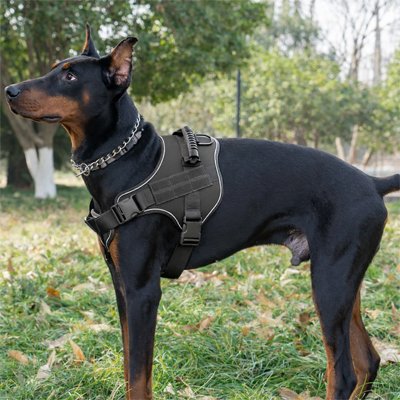 Harnais tactique chien PawTrek noir anti traction