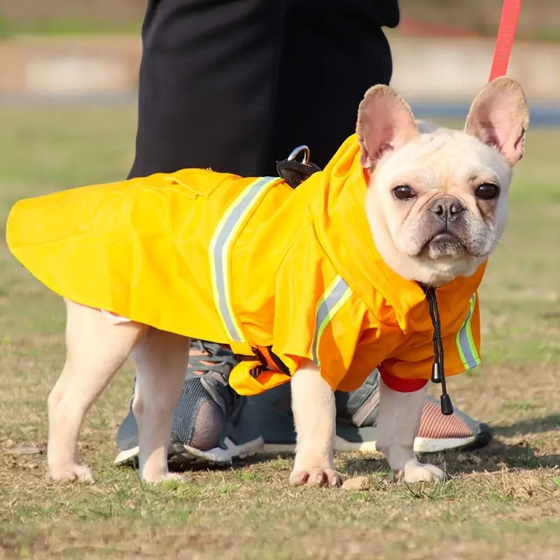 impermeable-chien-jaune-bande-reflechissante-texleon