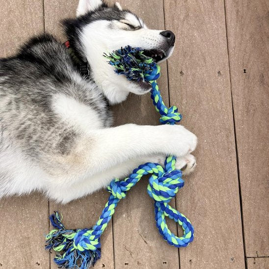 Jouet chien indestructible UltraCorde bleue husky