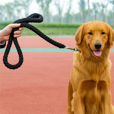 laisse-chien-corde-noire-elegante-tressage-epais-dressleash
