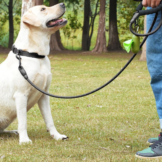 laisse-chien-corde-noire-poignee-ergonomique-epaisse-luminarowp