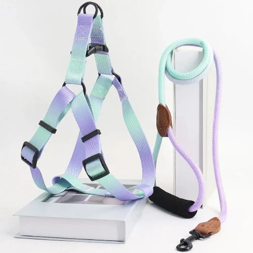 laisse-chien-kit-harnais-laisse-couleur-bleu-clair-violet-poignee-confort-flashdog