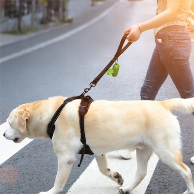laisse-courte-pour-chien-entrainement-dressage-intensif-controle-marche-calmoov