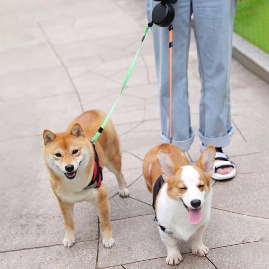laisse-double-chien-confortable-deux-chiens-avec-lampe-integree-duoretract