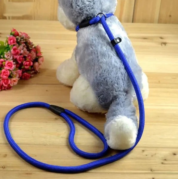 laisse-lasso-bleue-peluche-chien-buckleash