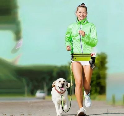 laisse-main-libre-chien-footing-canicross-runleash