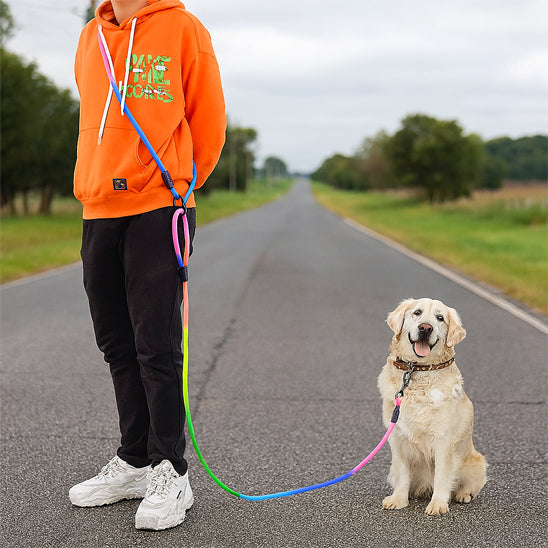 laisse-main-libre-chien-grand-labrador-freemoov