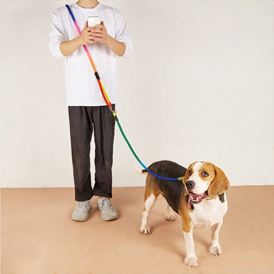 laisse-main-libre-chien-telephone-main-freemoov