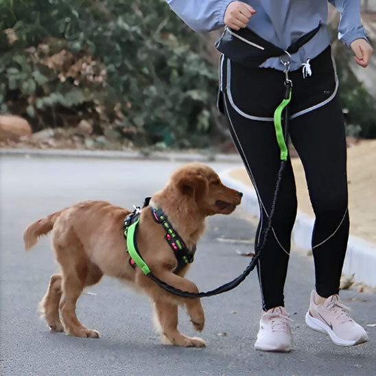 laisse-pour-chien-vert-renforcee-double-poignee-controle-treckleash